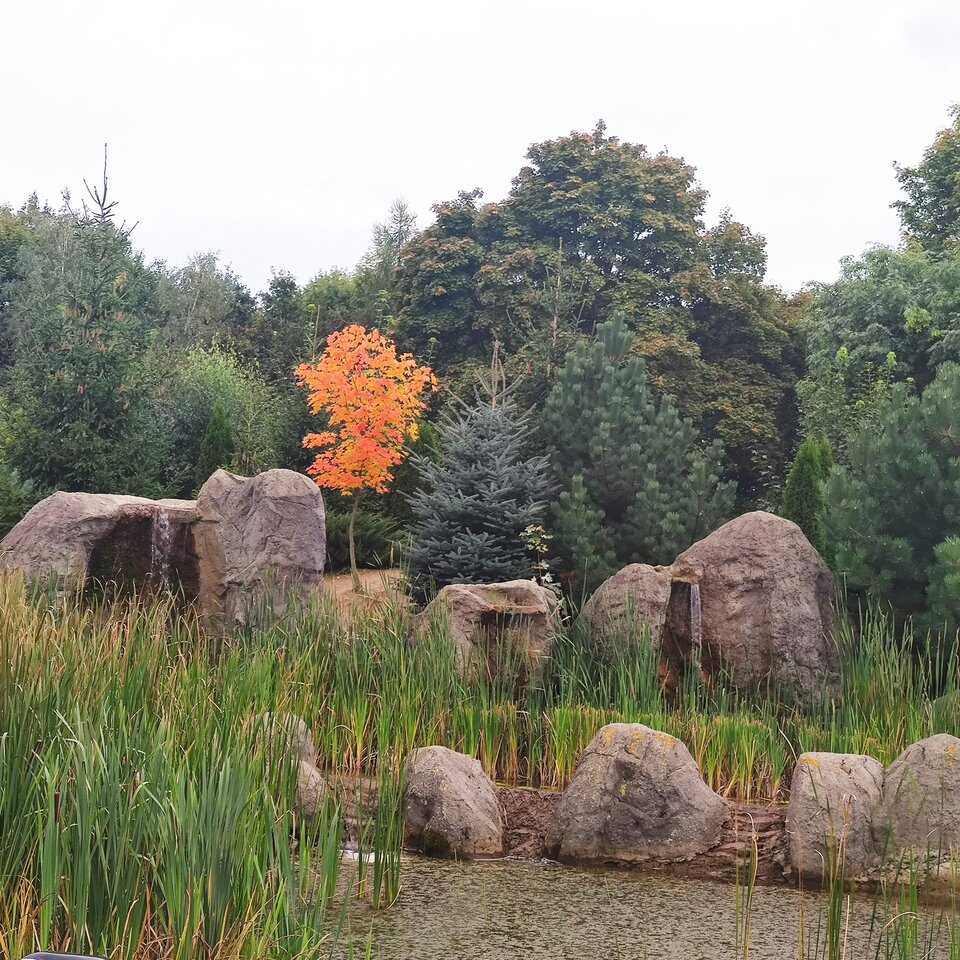 Jesień..  - Agrestowe_Pole