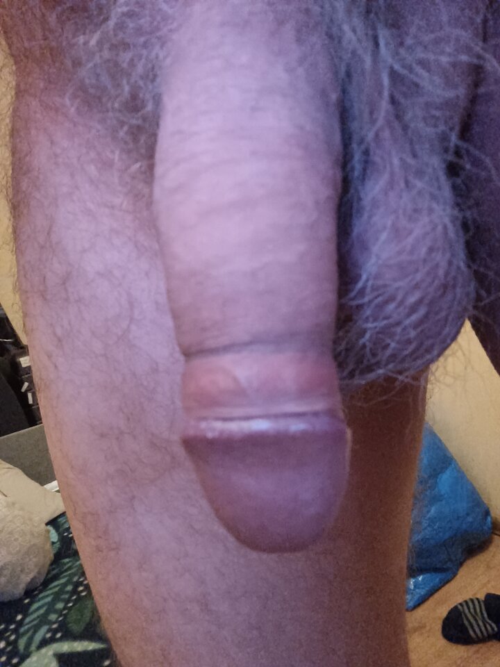 16646806640098148523032501716368.jpg - ardas1