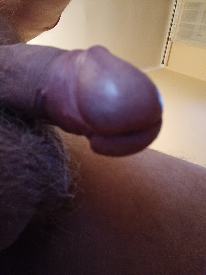 16646806787466430007049476838577.jpg - ardas1