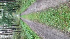 IMG-20221001-WA0000 (1).jpeg