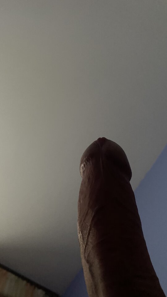 3266AEF7-98DA-440E-8AFF-62A48CD81D57.jpeg - bondjames728