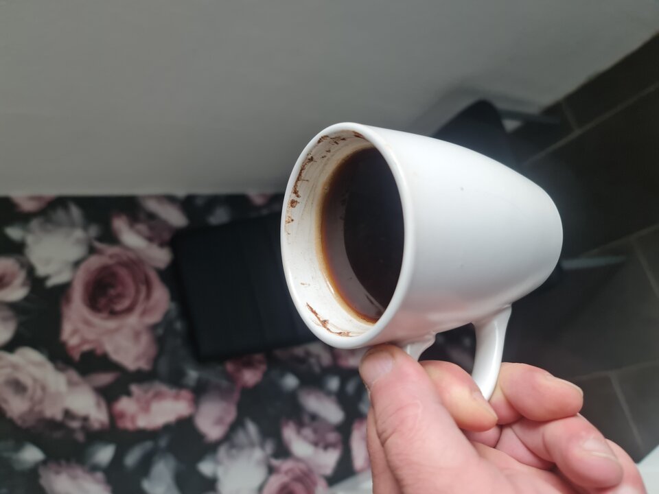 1664695792334874849845442478118.jpg - Guzman5