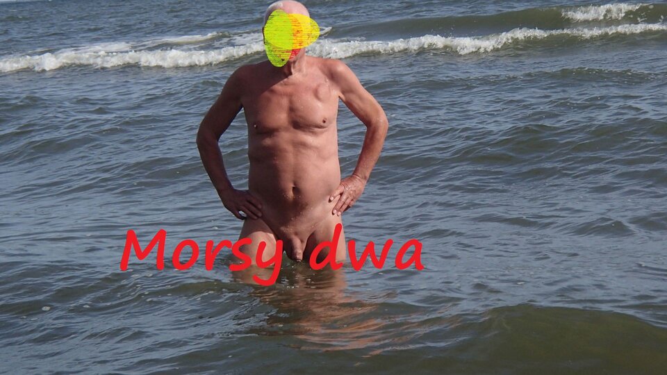 Dzień ósmy. Morze. - Morsy_dwa