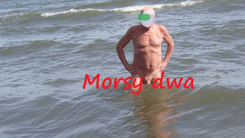 Dzień ósmy. Morze. - Morsy_dwa