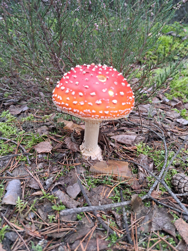 20220924_082159.jpg - malgos1972