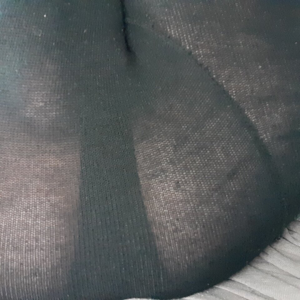 16647201871096857923260264744437.jpg - Palciusia