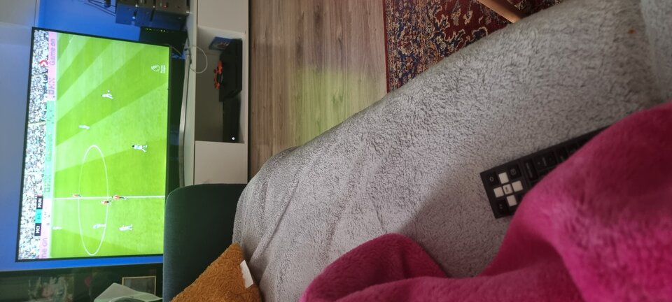 16647213371725131020025768304.jpg - legmax