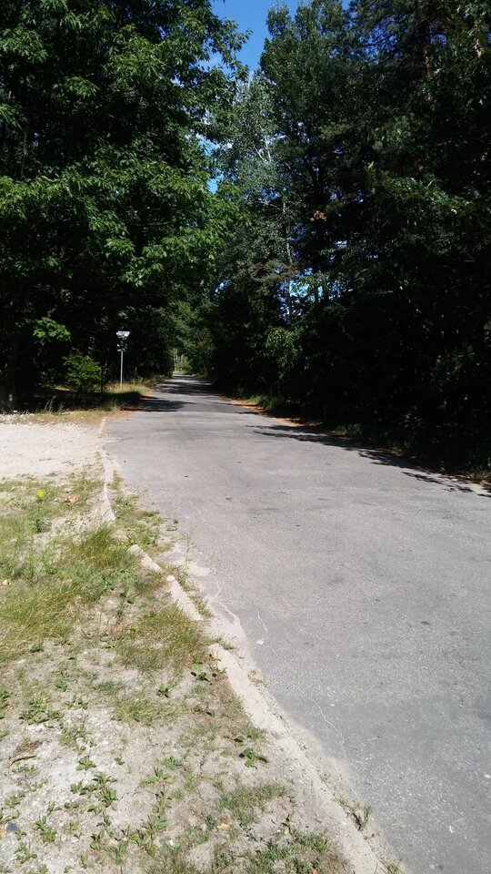 20220807_153419.jpg - Gonzales6710