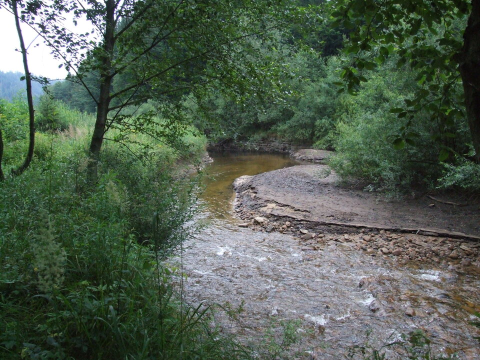 DSCF3295.JPG - ViscaelB