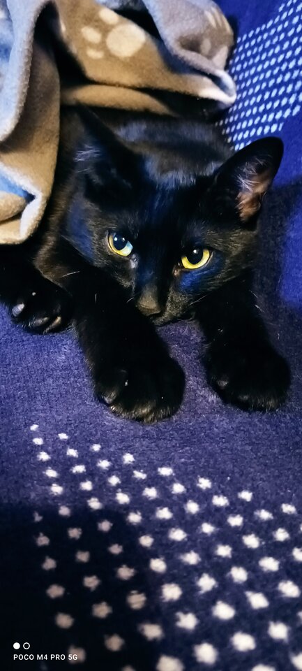 IMG_20220930_205559.jpg - Napaleni75