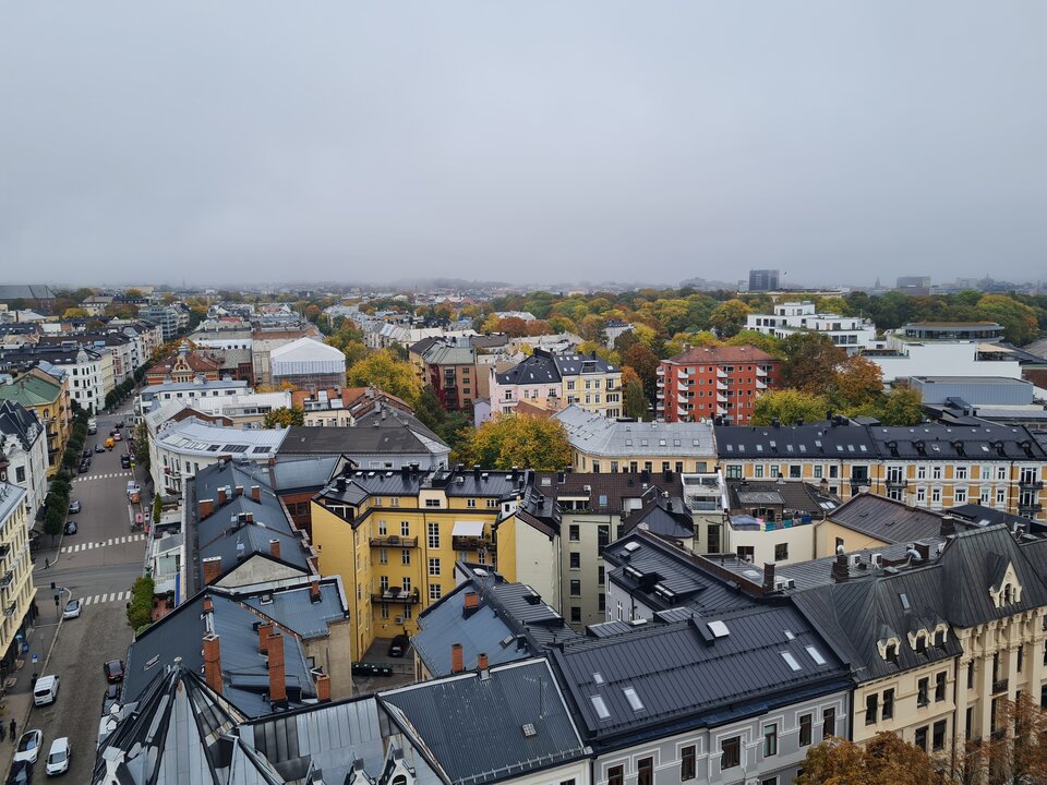 20221004_111157.jpg - Manus36