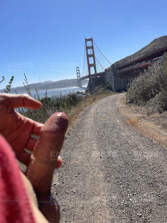 Przy takiej pogodzie wszystko rośnie i rozwita 🌅🌉