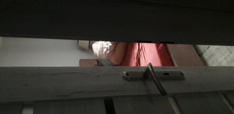 20221003_073513.jpg - Pareczkafajni8385