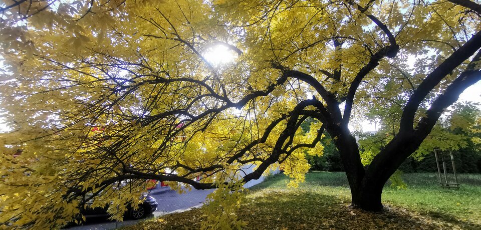 IMG_20220928_151834.jpg - endriu07