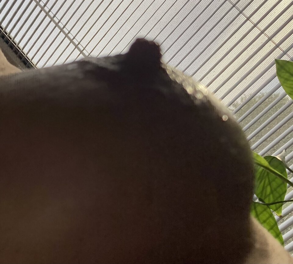 C1201DC9-4912-4146-B2A4-17AC84638B72.jpeg - Mrgh