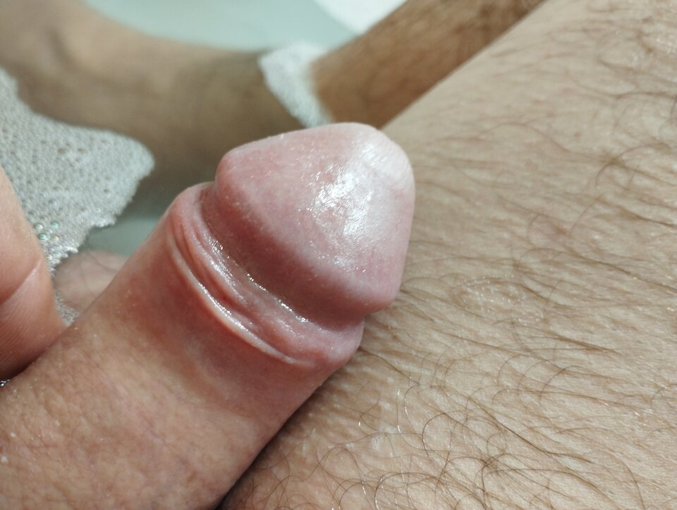 16650742261378330452861763952739.jpg - matuzalem000