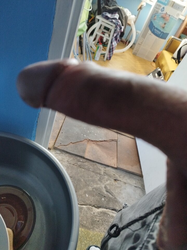 16651459539207330280873957941795.jpg - Lolek2018
