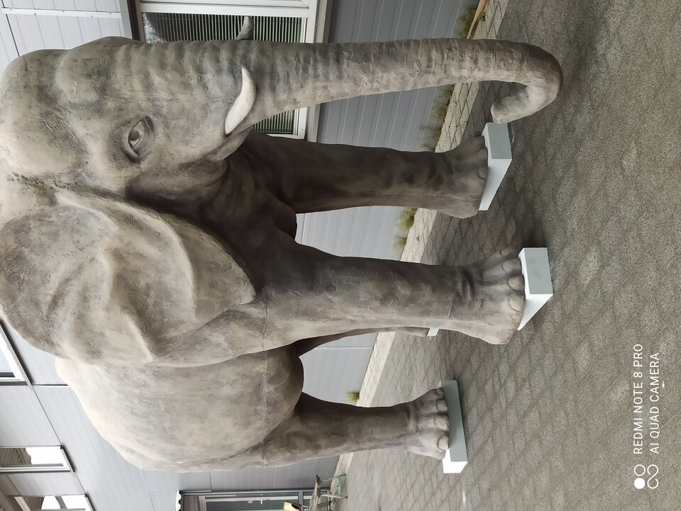 IMG_20220508_082642.jpg - ogierzboczony