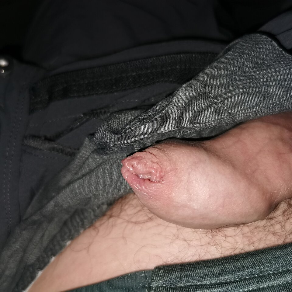 IMG_20221008_055106.jpg - Zi0001