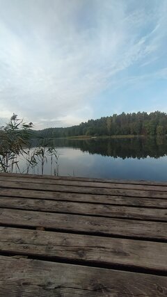 IMG_20221008_085219.jpg