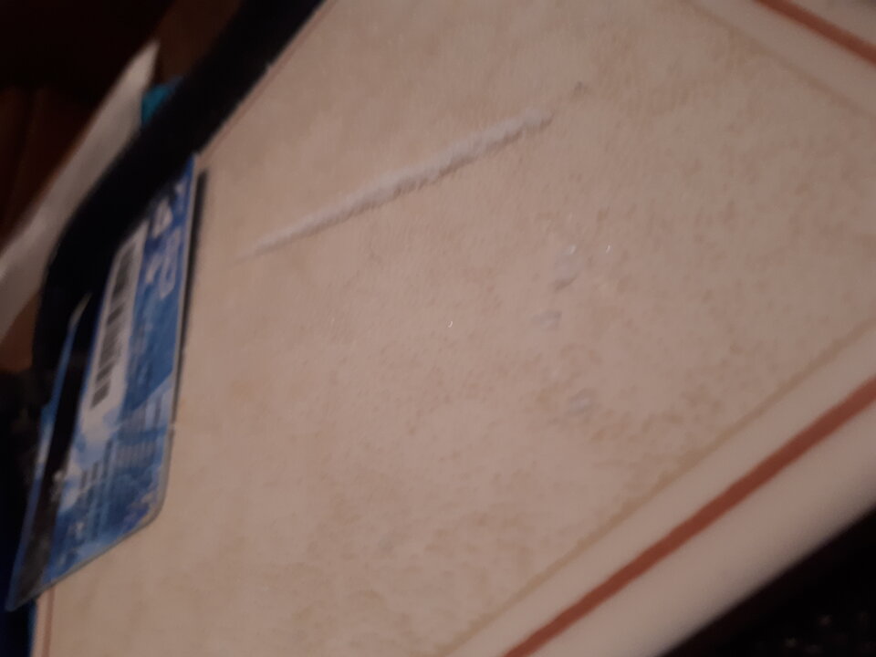 20221008_101838.jpg - White_Fun