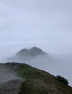 IMG_20201124_104949.jpg