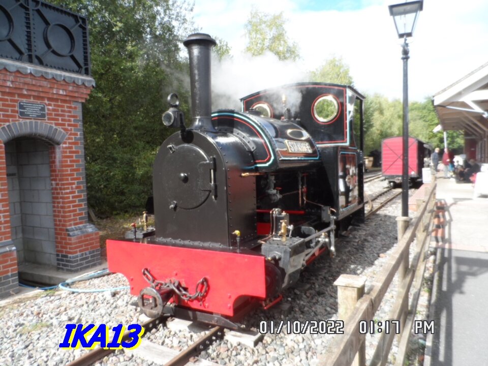 SAM_4294.JPG - ika13