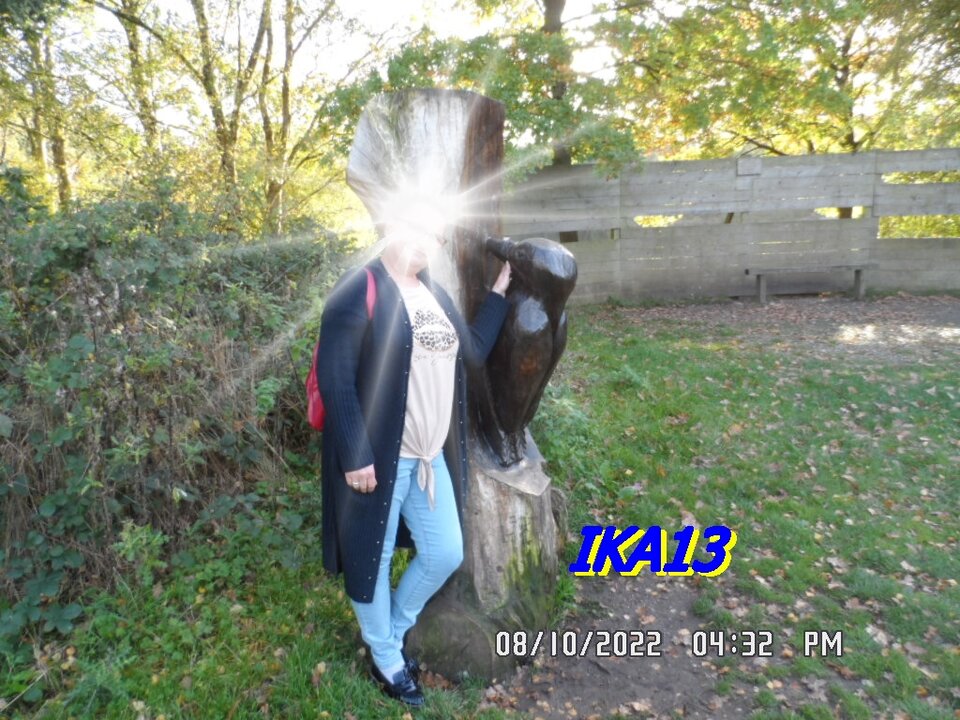 SAM_4303.JPG - ika13