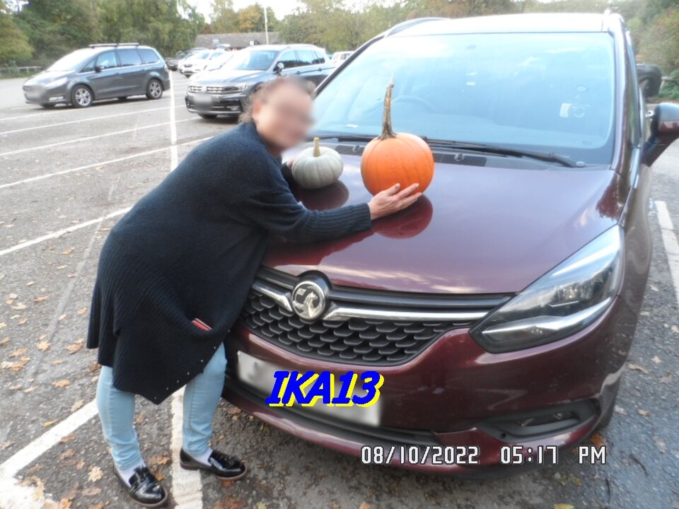 SAM_4304.JPG - ika13