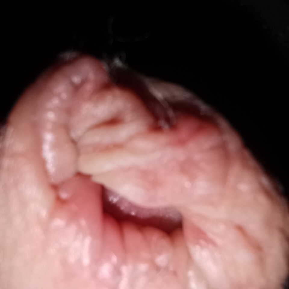 IMG_20221008_214230.jpg - Zi0001