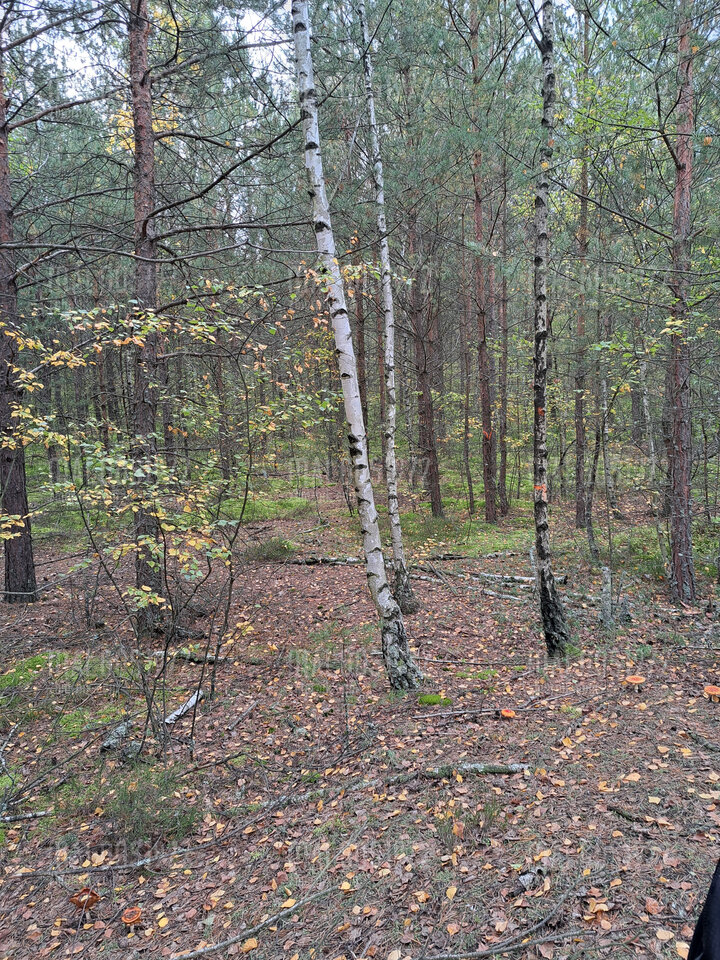 20221008_093644.jpg - malgos1972