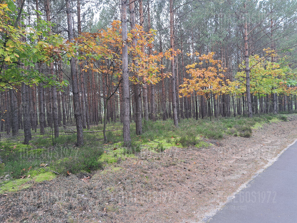 20221008_125749.jpg - malgos1972