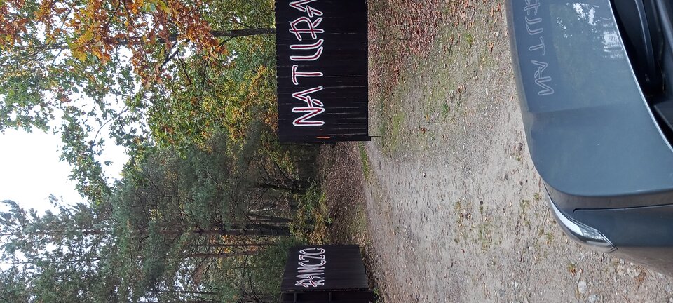 20221008_163246.jpg - Swiezozakochani