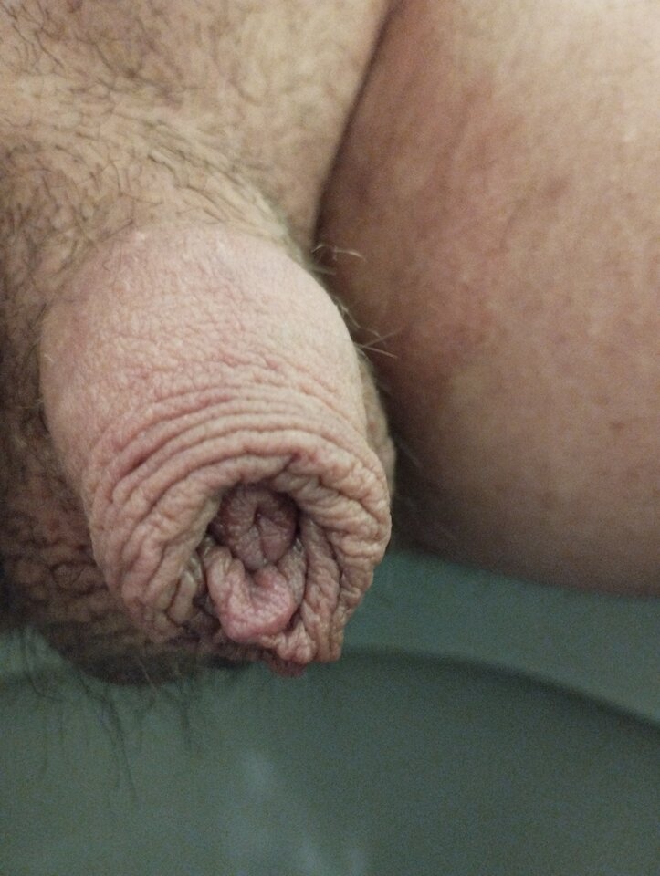 16652983345968516300349199395612.jpg - matuzalem000