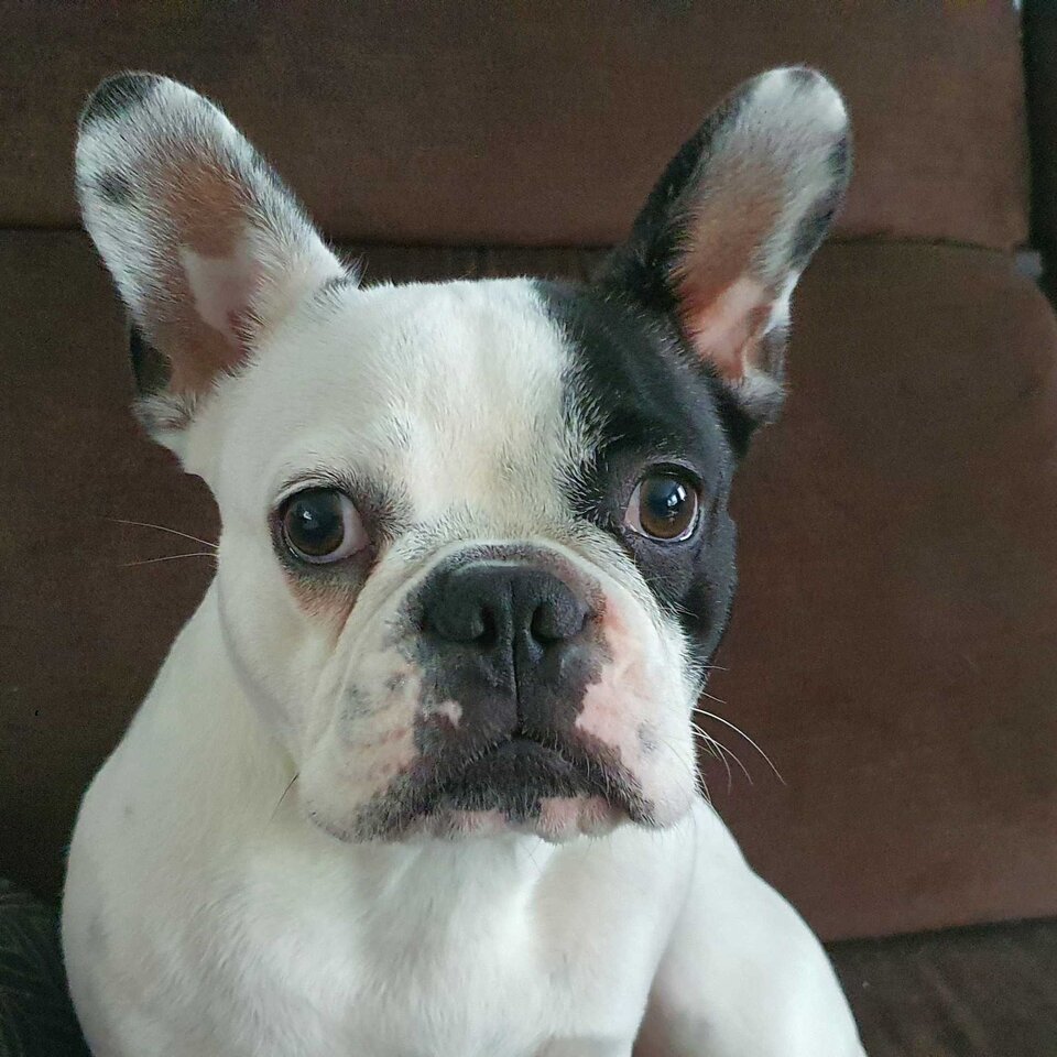 5080a6ee-0651-4e0b-a133-2b122c9801b9.jpg - nel50