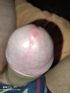 IMG_20221009_122649.jpg