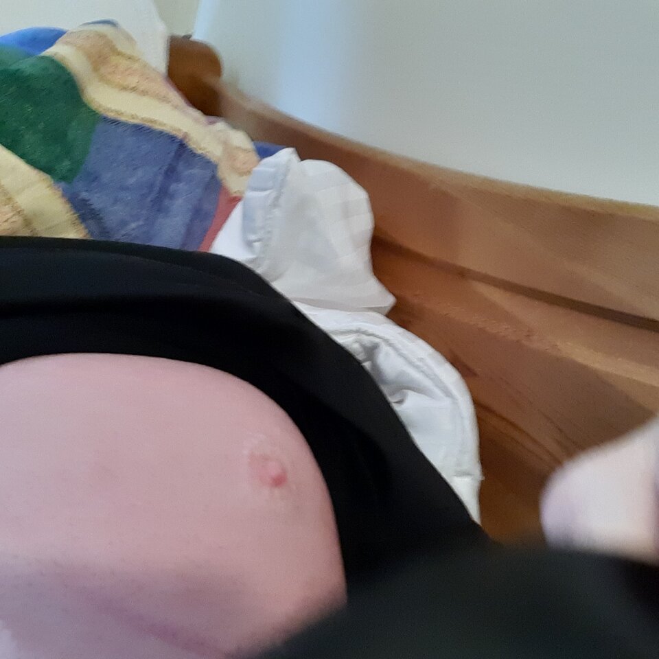 1665314685840266614403720456237.jpg - Palciusia