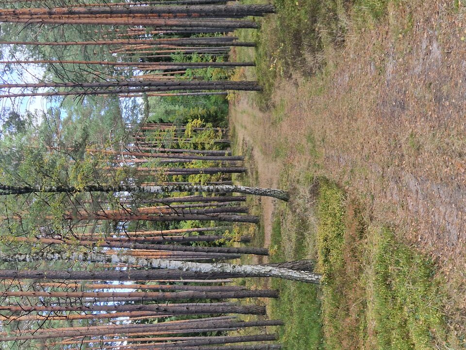 20221009_140604.jpg - MMisza1