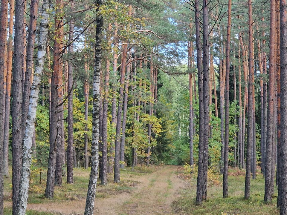 20221009_140536.jpg - MMisza1