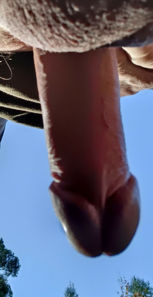 IMG20221009143926~2.jpg - ardas1