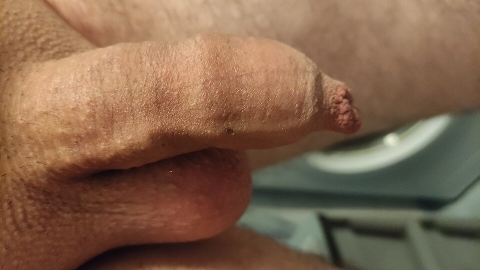 IMG_20221009_152332.jpg - Kriss7788