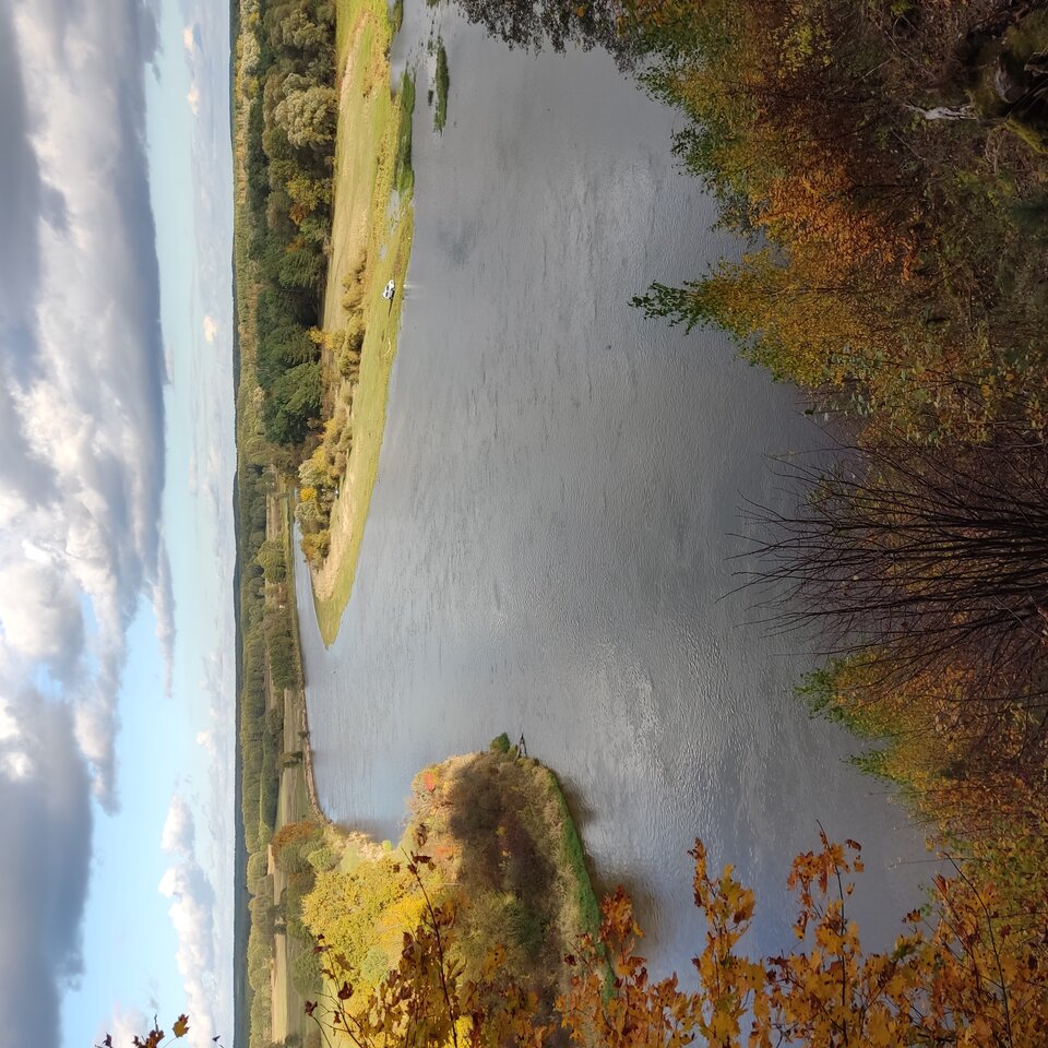 IMG_20221009_163632.jpg - Comprex626