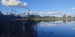 20221009_160951_HDR.jpg