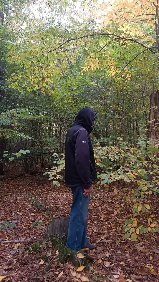 Jesienny spacer po lesie - Voyager07