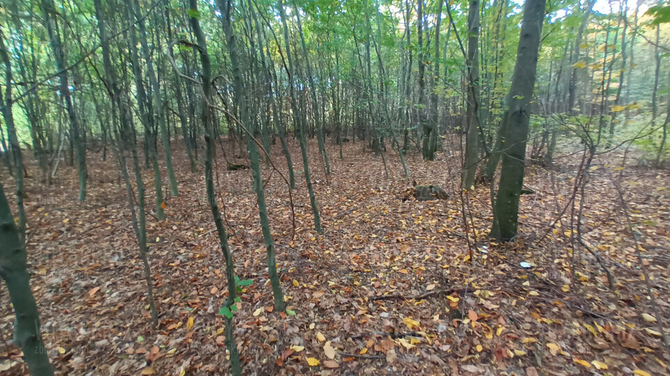 20221009_163538.jpg - Voyager07