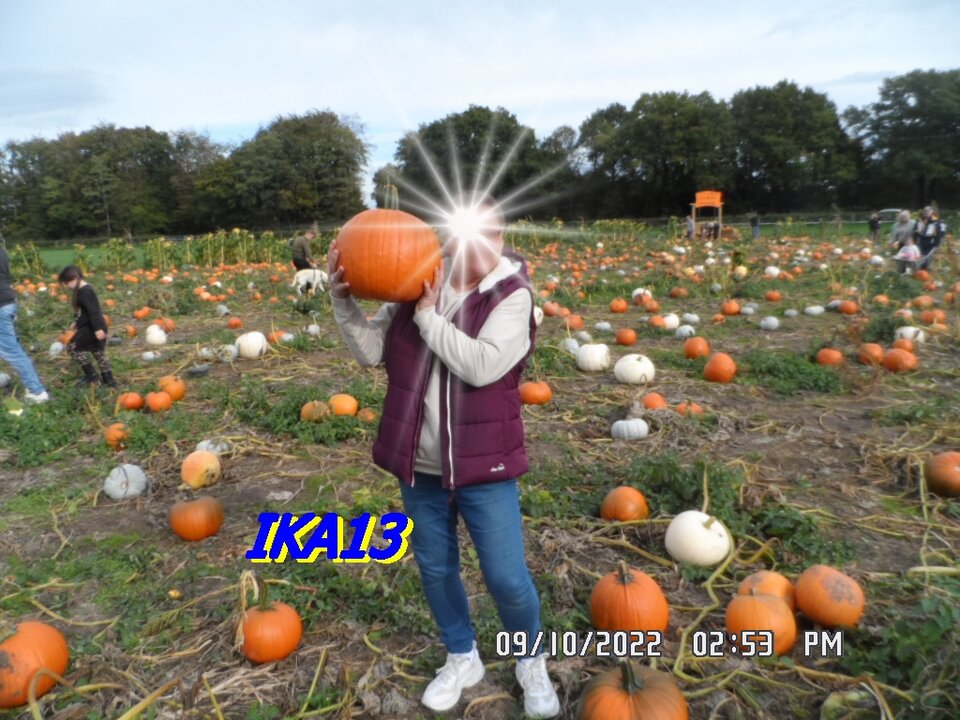 SAM_4305.JPG - ika13