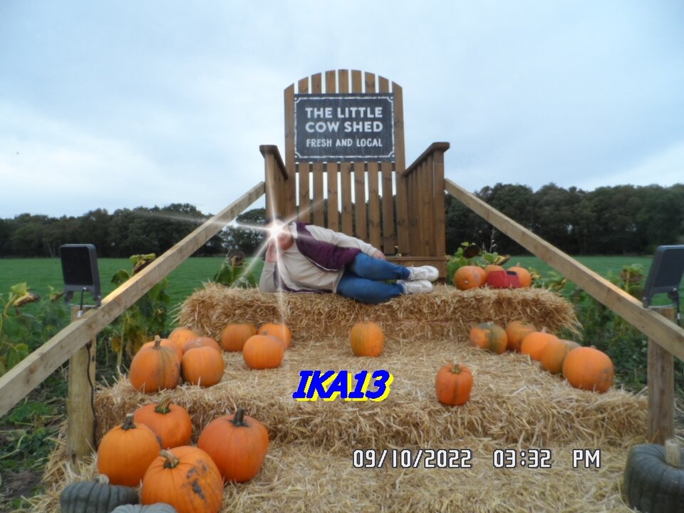 SAM_4307.JPG - ika13