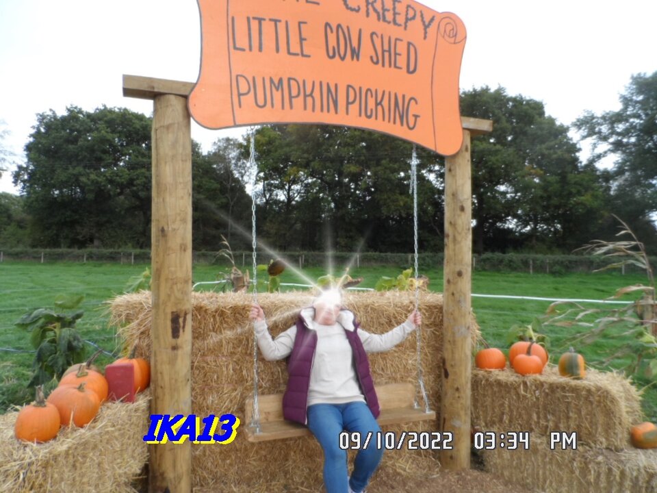 SAM_4308.JPG - ika13