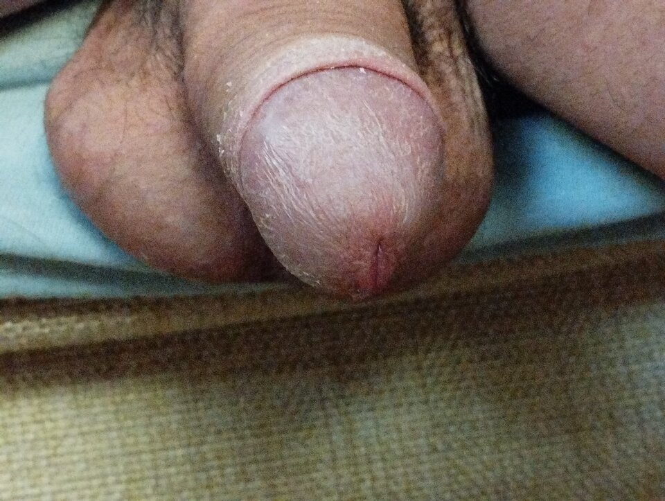 16653432525224167337241896335646.jpg - matuzalem000