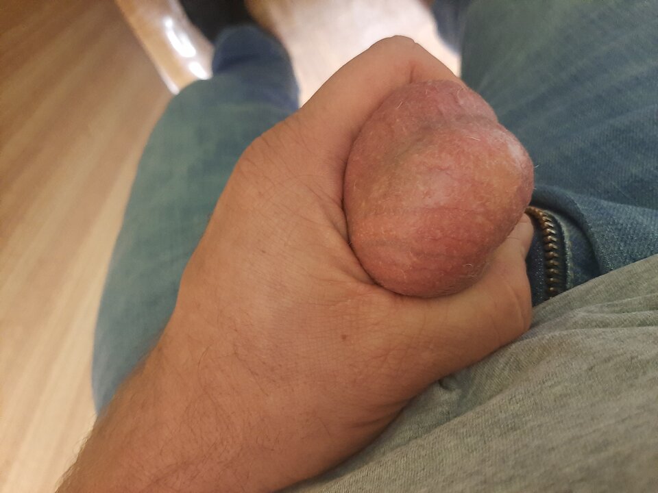 jaja.jpeg - wlochaty81